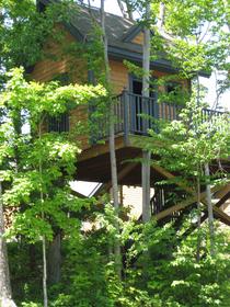 Summer tree house